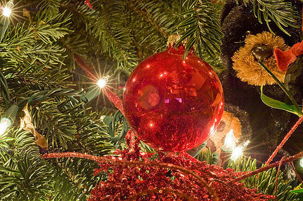 红色的圣诞节点缀挂圣诞节假期树灯