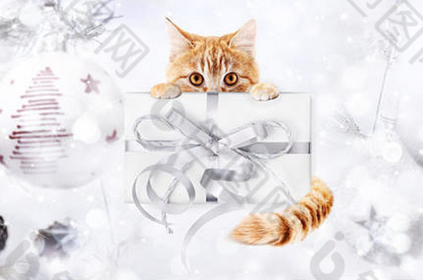 姜猫盒子礼物现在银丝带弓圣诞节球明亮的灯背景
