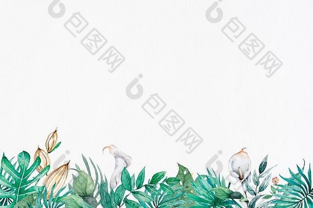 手画水彩热带横幅异国情调的叶子插图水平框架丛林树巴西时尚的完美的设计