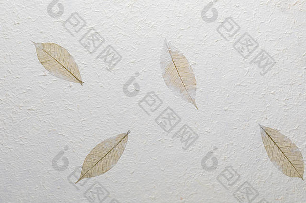手工制作的纸纹理回收材料树叶子棉花纤维精致的清晰的香草音调