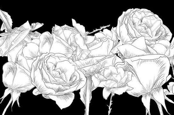 行艺术拼贴画玫瑰黑色的背景jziprian