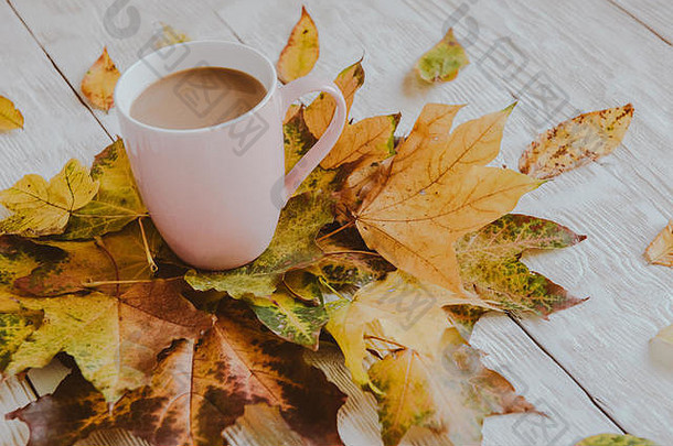 咖啡杯黄色的秋天叶子背景生活前视图平铺