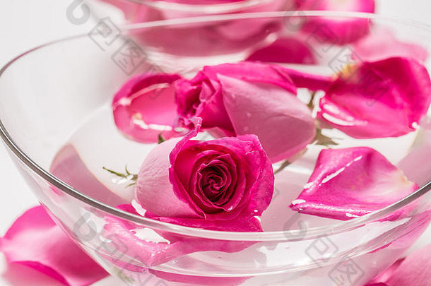 粉红色的玫瑰花瓣碗纯水水疗中心健康概念