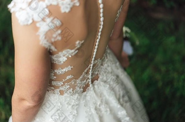 新娘婚礼衣服关闭花边装饰回来白色婚礼礼服密集的行白色按钮脊柱户外背景婚礼一天