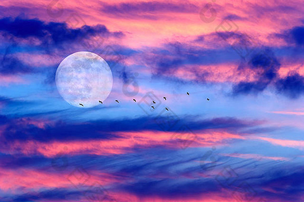 月亮云鸟充满活力的色彩斑斓的Cloudscape鸟飞行光完整的月亮不断上升的天空