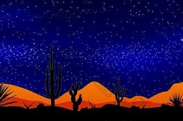 沙漠仙人掌背景晚上布满星星的天空多石的沙漠晚上沙漠景观晚上场景