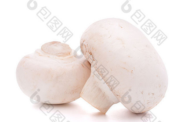 食用香草蘑菇孤立的白色背景