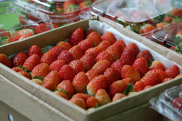 篮子成熟的红色的草莓越南市场新鲜的水果有机农业产品好健康丰富的维生素