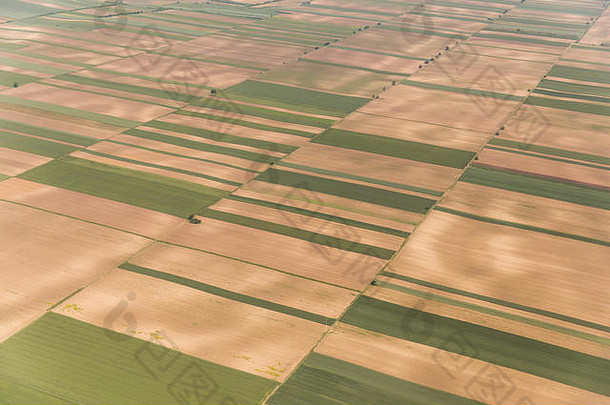 空中视图绿色农村区域伏伊伏丁那