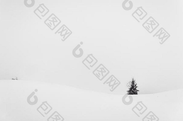 单树严重的冬天德国幸存的农村极简主义表达式黑色的白色表达式艺术