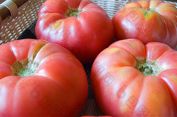 成熟的大红色的有机西红柿茄属植物lycopersicum
