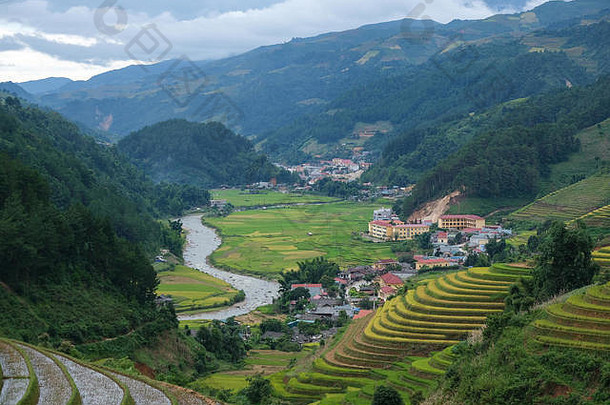 空中视图越南景观黄色的大米场村江越南皇室高质量的免费的股票图像图片大米场