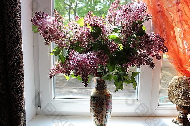 美丽的浮夸的布鲁姆花束粉红色的淡紫色瓷中国花瓶窗口红色的窗帘