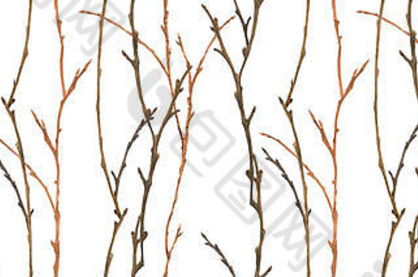 植物水彩森林分支机构木无缝的模式圣诞节纺织网络设计