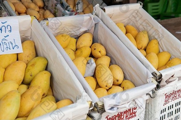 水果市场亚洲受欢迎的异国情调的水果游客世界