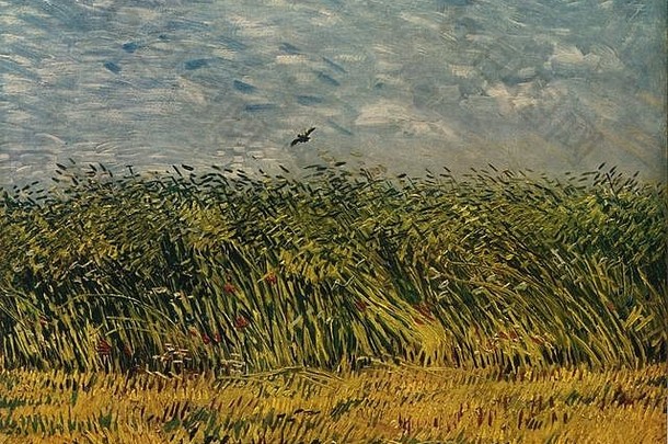 小麦场约绘画文森特的梵高高决议质量图像