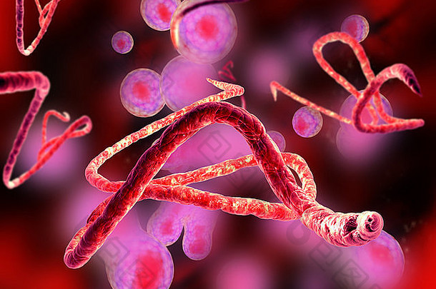 埃博拉病毒病毒微观视图