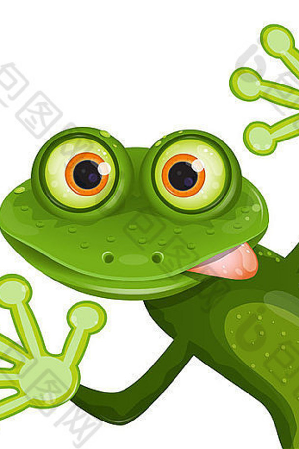 插图快乐绿色青蛙更大的眼睛