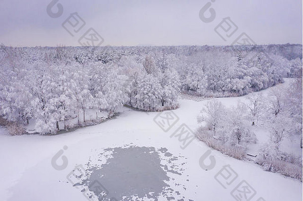 空中视图冬天美丽的景观树覆盖白霜雪冬天风景景观照片捕获无人机