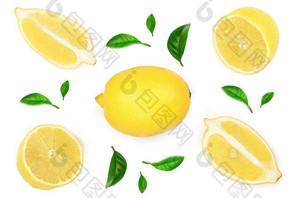 柠檬叶子片孤立的白色背景平躺前视图