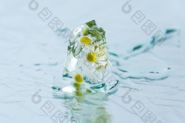 洋甘菊花冻冰多维数据集花冰山浪漫装饰点心冰冷的花