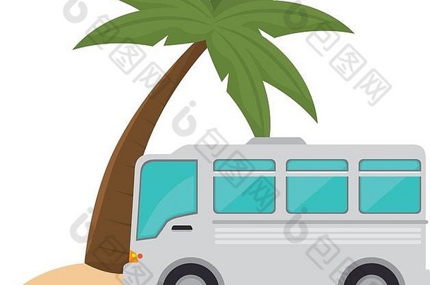 公共汽车棕榈树