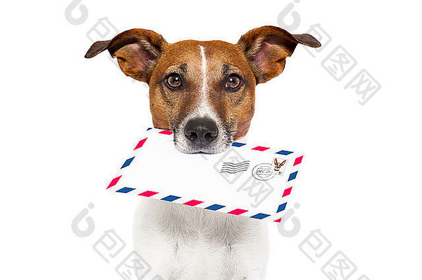 狗眼镜交付空气邮件信封邮票