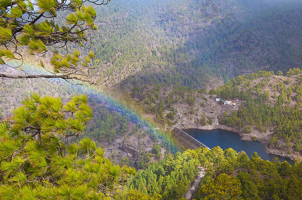 大加那利岛自然公园松森林tamadaba视图峡谷的<strong>牧童</strong>峡谷彩虹暂停雾