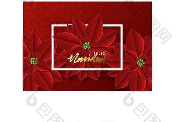 快乐圣诞节背景装饰美丽的红色的味蕾一品红花西班牙语文本快乐圣诞节