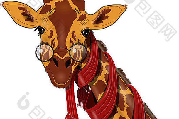 插图长颈鹿红色的围巾