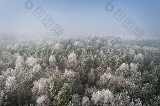 空中视图冬天背景白雪覆盖的森林湖捕获无人机波兰