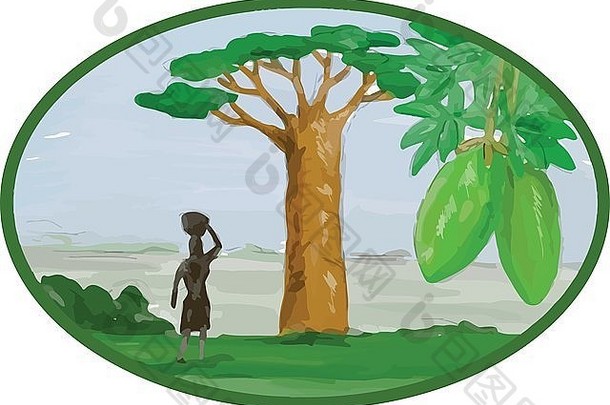 水彩风格插图Baobab树水果生长地势低洼的区域非洲澳大利亚女人篮子头集内部椭圆形