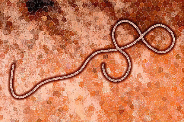 图形表示埃博拉病毒病毒橙色背景