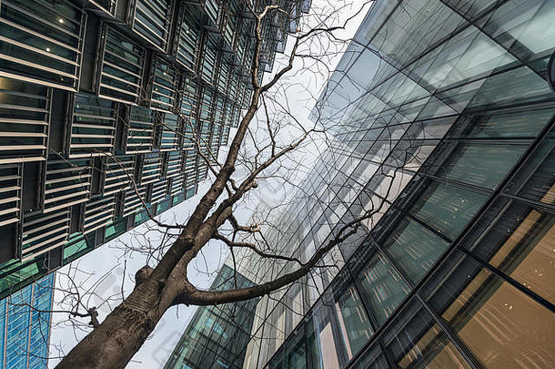 低角高企业玻璃建筑萨瑟克区伦敦