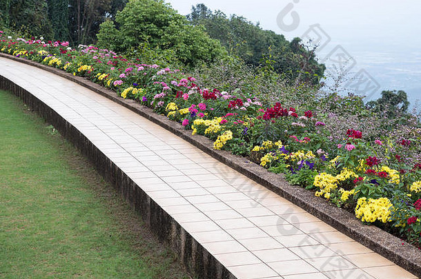 白色瓷砖板凳上阳台花行悬崖放松植物花园