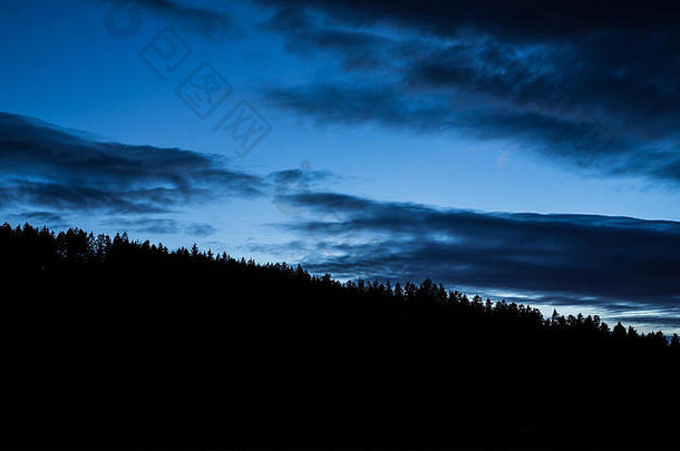 德国蓝色的晚上天空黑色的森林树轮廓星星闪亮的夏天晚上