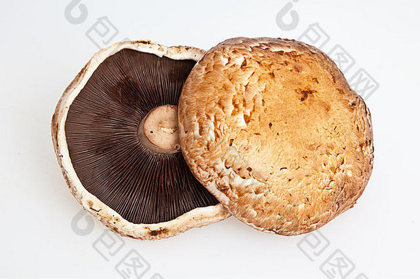 portabella蘑菇帽白色背景