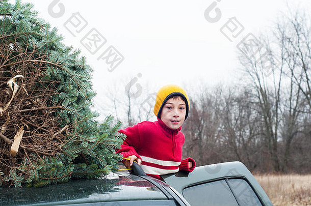 男孩新鲜的减少圣诞节树屋顶车