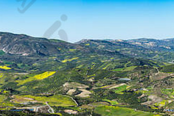 独特的全景空中视图archanes农村地区景观绿色梅多斯橄榄树林葡萄园春天伊拉克里翁克里特岛希腊