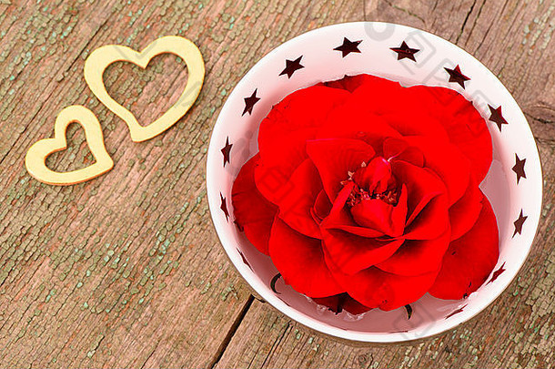 红色的玫瑰爱情人节一天生日妈妈。一天