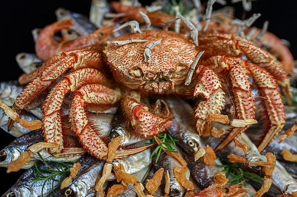 大多毛的煮熟的蟹坐在堆干咸鱼礼物花束黑色的背景特写镜头