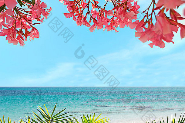 棕榈花热带海滩