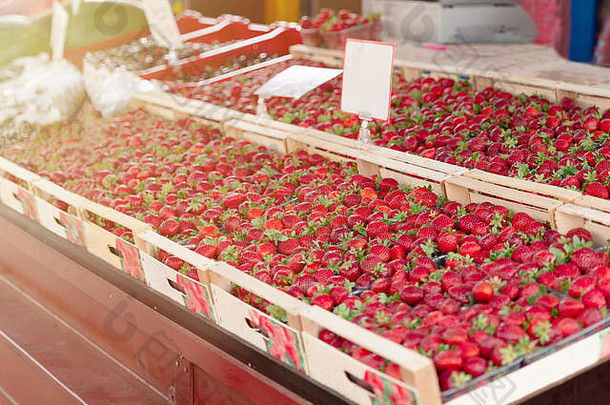 新鲜的有机草莓农民市场城市