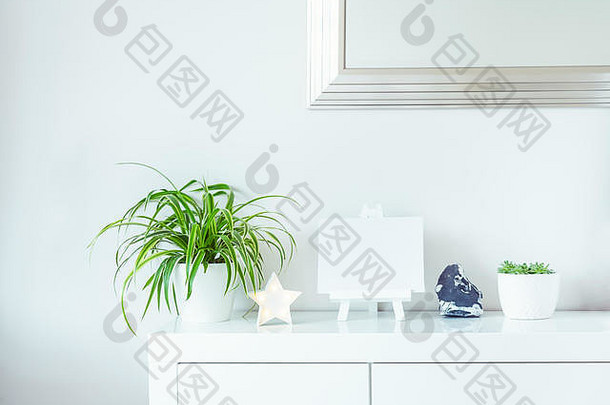 白色斯堪的那维亚首页室内设计绿色植物锅明星形状灯空白帆布站石头细节墙镜子背气