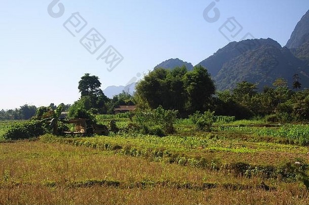 农村景观作物场岩溶山抓住Vieng老挝