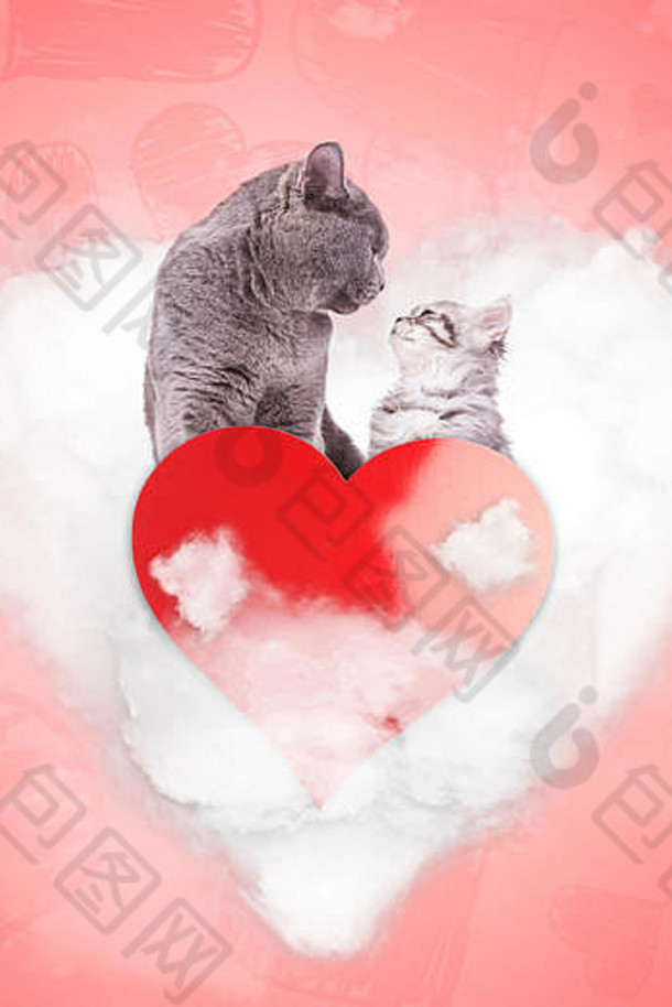 浪漫的夫妇猫爱云情人节一天概念