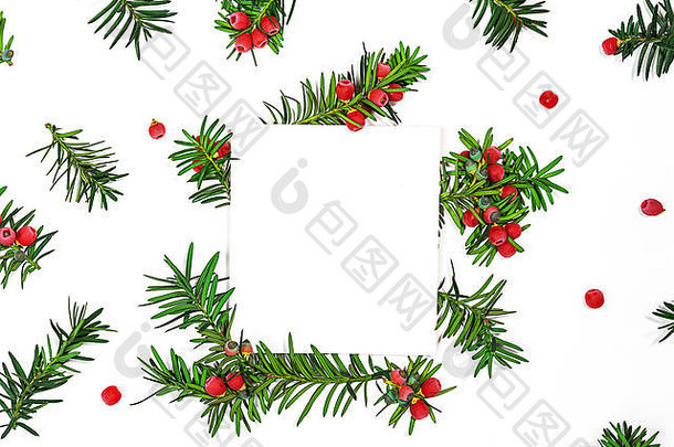 圣诞节模式冷杉分支机构红色的浆果背景请注意孤立的12月冬天作文平躺前视图空间文本规划列表概念