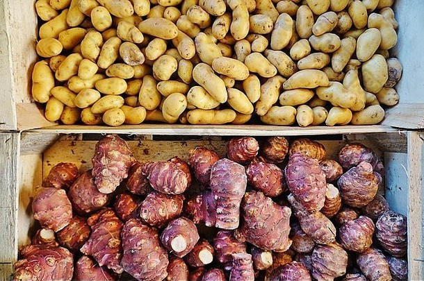 色彩斑斓的紫色的根蔬菜农民的市场