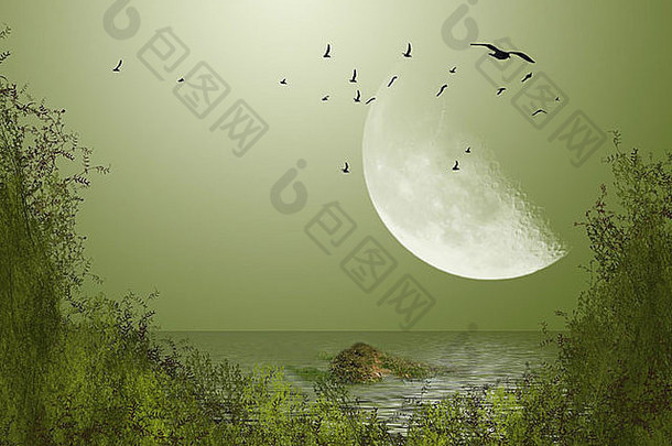 大月亮鸟湖