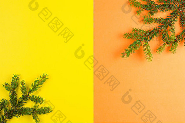 冷杉树分支黄色的橙色背景前视图平躺<strong>圣诞节</strong>作文